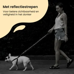 All 4 Pets Supply Reflektierende Hundeleine - 1,5 Meter