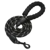 All 4 Pets Supply Reflektierende Hundeleine - 2 Meter