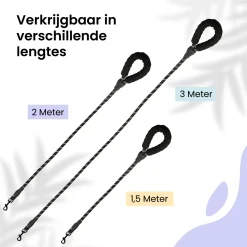 All 4 Pets Supply Reflektierende Hundeleine - 2 Meter