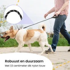 All 4 Pets Supply Reflektierende Hundeleine - 2 Meter