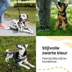 All 4 Pets Supply Reflektierende Hundeleine - 2 Meter
