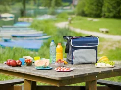 Campingaz Fold'N Cool Kühltasche - 30 Liter