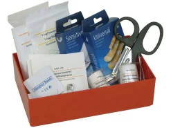Carpoint Medium Verbandkasten