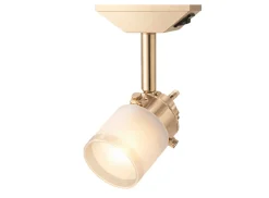 Dometic Railspot - bronze