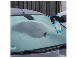 ProPlus Scheibenenteiserspray