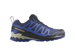 Salomon XA Pro 3D V9 GTX Herren Wanderschuhe - Blue