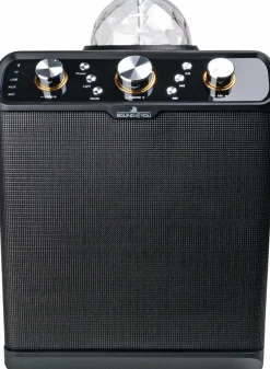 Schwaiger Bluetooth Party Lautsprecher