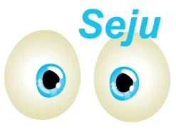 Seju Baby Innenspiegel mit Saugnapf