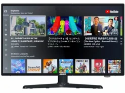 Selfsat smart led 1224 24" Fernseher