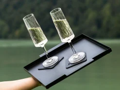 Silwy 2er set SEKT Magnet Kunststoffgläser