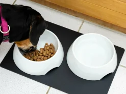 Silwy Magnet-Porzellan-Futternäpfe mit Matte