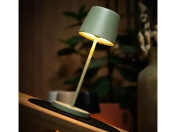 Silwy Monaco Magnet-Leuchte mit Platzset - Olive