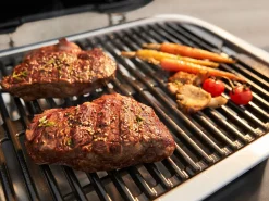 Weber Lumin Black Stand Elektrogrill