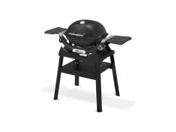 Weber Q 1200N Stand-Gasgrill