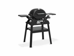 Weber Q 1200N Stand-Gasgrill