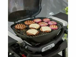 Weber Q 1200N Stand-Gasgrill