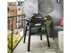 Weber Q 1200N Stand-Gasgrill
