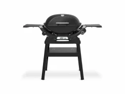 Weber Q 2200N Stand-Gasgrill
