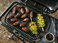 Weber Traveler Compact tragbarer Gasgrill