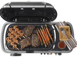 Weber Traveler Gasgrill